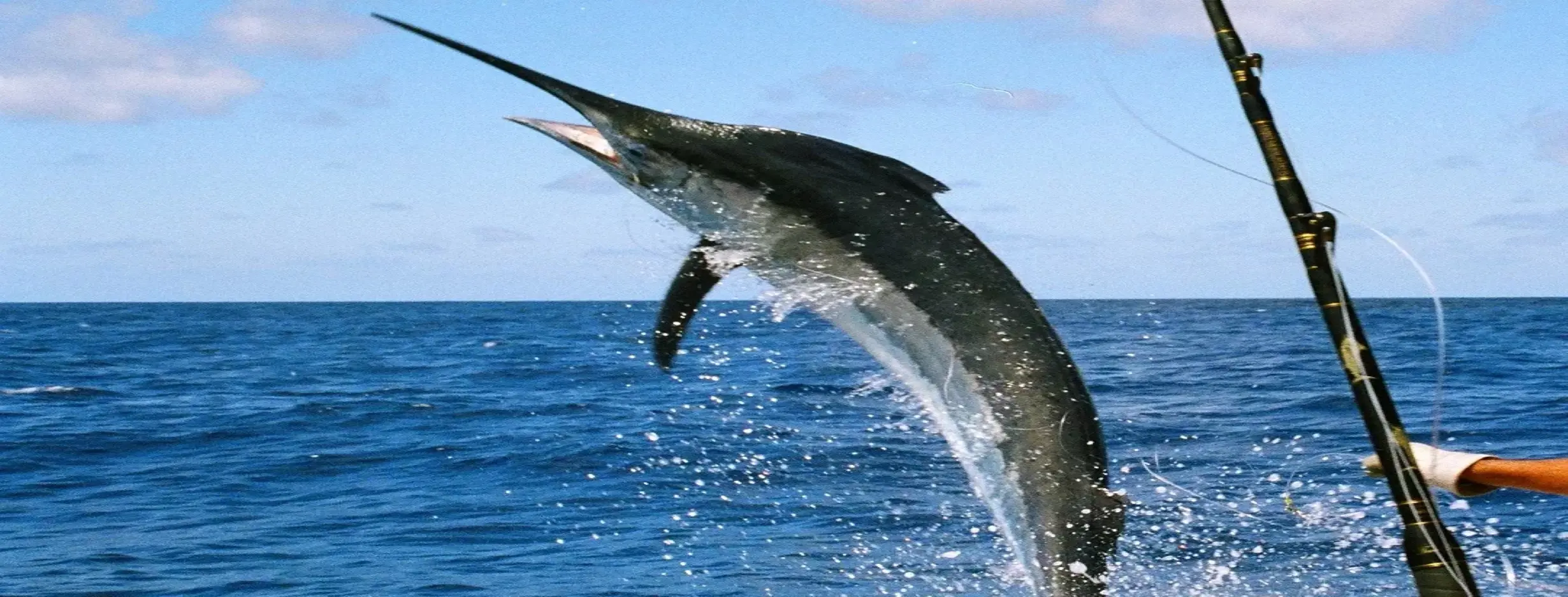 Image for Fishing Haven